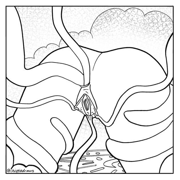 AUGUST: Orgasm Control - Colouring Page - Digital - CSP