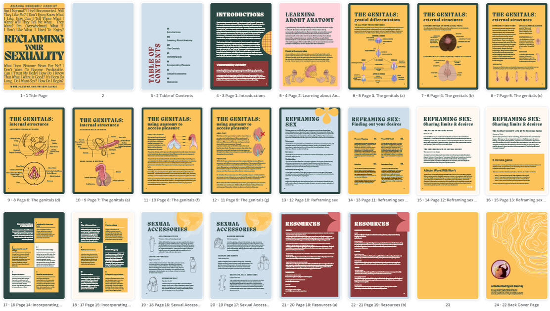 DECEMBER: Reclaiming Your Sexuality - Educational Booklet