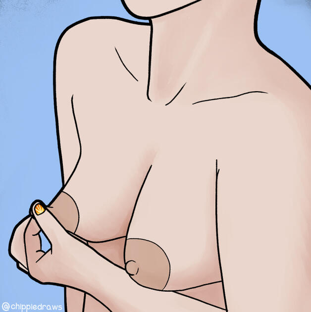 FEBRUARY: Commission: Workshop Assets - Digital - CSP