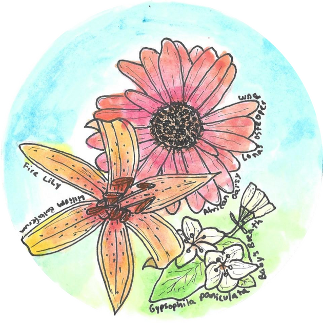 JULY: Medusa&#39;s Flowers - Watercolour on Watercolour Paper