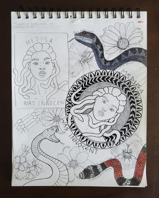 MAY: Medusa Studies - Mixed on Paper
