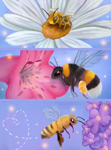 JUNE: Patreon Banners - Digital - CSP